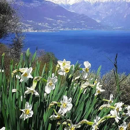 Σπίτι διακοπών Balcony On Pianello Pianello Del Lario